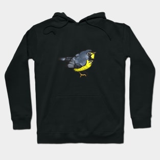 Canada Warbler Hoodie